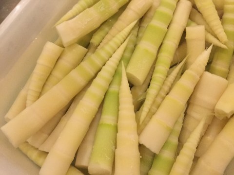 455AE283-1EBD-4A83-9B86-502D0E232A87