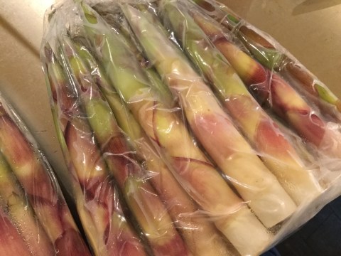 7EC8C70A-CA21-4587-ABE6-9326B9D30F2C